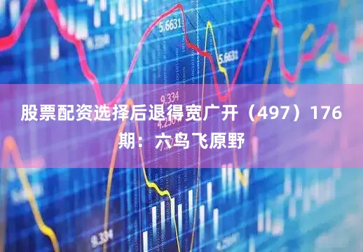 股票配资选择后退得宽广开（497）　　176期：六鸟飞原野